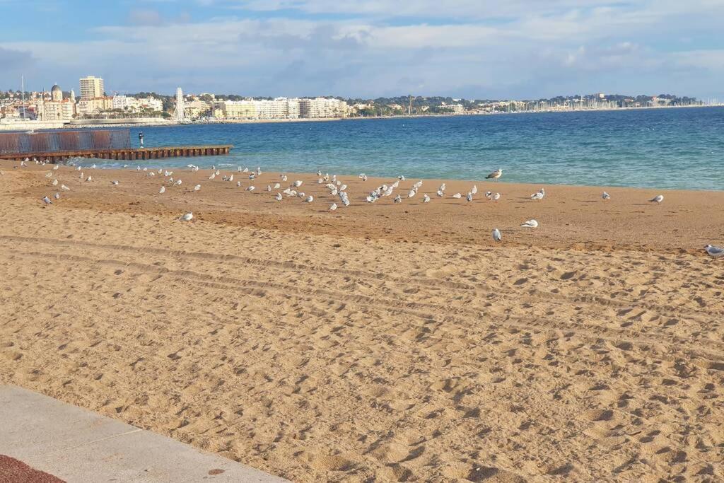 T2 Climatise A 5 Minutes A Pied De La Plage Avec Parking, Piscine Et Wifi Frejus Exterior photo